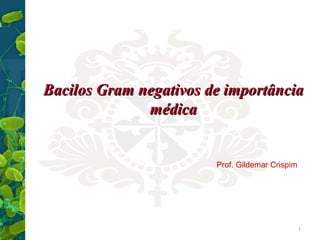 Bacilos Gram negativos de importância
médica

Prof. Gildemar Crispim

1

 