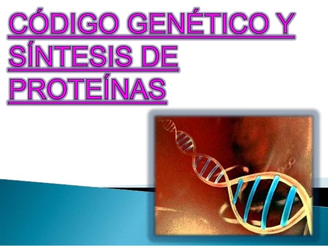CODIGO Y SINTESIS DE PROTEINAS PDF