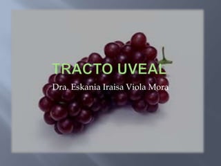 Dra. Eskania Iraisa Viola Mora

 