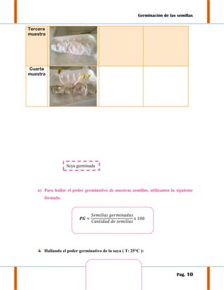 Germinación de las semillas
Tercera
muestra

Cuarta
muestra

Soya germinada

a) Para hallar el poder germinativo de nuestras semillas, utilizamos la siguiente
fórmula:

Hallando el poder germinativo de la soya ( T: 25°C ):

Pág. 10

 