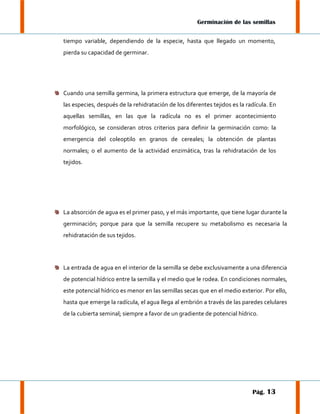 Germinación de las semillas
tiempo variable, dependiendo de la especie, hasta que llegado un momento,
pierda su capacidad de germinar.

Cuando una semilla germina, la primera estructura que emerge, de la mayoría de
las especies, después de la rehidratación de los diferentes tejidos es la radícula. En
aquellas semillas, en las que la radícula no es el primer acontecimiento
morfológico, se consideran otros criterios para definir la germinación como: la
emergencia del coleoptilo en granos de cereales; la obtención de plantas
normales; o el aumento de la actividad enzimática, tras la rehidratación de los
tejidos.

La absorción de agua es el primer paso, y el más importante, que tiene lugar durante la
germinación; porque para que la semilla recupere su metabolismo es necesaria la
rehidratación de sus tejidos.

La entrada de agua en el interior de la semilla se debe exclusivamente a una diferencia
de potencial hídrico entre la semilla y el medio que le rodea. En condiciones normales,
este potencial hídrico es menor en las semillas secas que en el medio exterior. Por ello,
hasta que emerge la radícula, el agua llega al embrión a través de las paredes celulares
de la cubierta seminal; siempre a favor de un gradiente de potencial hídrico.

Pág. 13

 