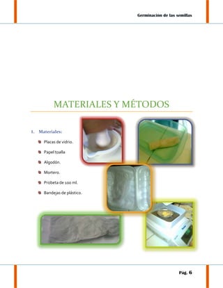 Germinación de las semillas

MATERIALES Y MÉTODOS
1.

Materiales:
Placas de vidrio.
Papel toalla
Algodón.
Mortero.
Probeta de 100 ml.
Bandejas de plástico.

Pág. 6

 