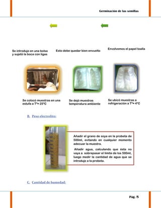 Germinación de las semillas

Se introdujo en una bolsa
y sujetó la boca con ligas

Esto debe quedar bien envuelto

Se colocó muestras en una
estufa a Tº= 25ºC

Se dejó muestras
temperatura ambiente

Envolvemos el papel toalla

Se ubicó muestras a
refrigeración a Tº= 4ºC

B. Peso electrolito:

Añadir el grano de soya en la probeta de
500ml, evitando en cualquier momento
adecuar la muestra.
Añadir agua, calculando que ésta no
vaya a sobrepasar el límite de los 500ml,
luego medir la cantidad de agua que se
introdujo a la probeta.

C. Cantidad de humedad:

Pág. 8

 