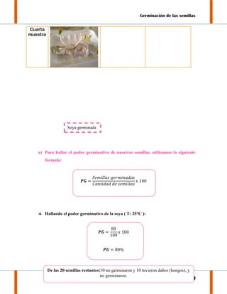 Germinación de las semillas
Cuarta
muestra

Soya germinada

a) Para hallar el poder germinativo de nuestras semillas, utilizamos la siguiente
fórmula:

Hallando el poder germinativo de la soya ( T: 25°C ):

De las 20 semillas restantes:10 no germinaron y 10 tuvieron daños (hongos), y
no germinaron.
Pág. 10

 