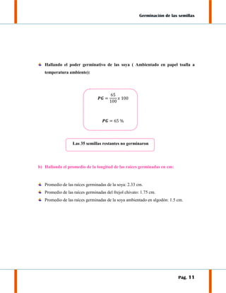 Germinación de las semillas

Hallando el poder germinativo de las soya ( Ambientado en papel toalla a
temperatura ambiente):

Las 35 semillas restantes no germinaron

b) Hallando el promedio de la longitud de las raíces germinadas en cm:

Promedio de las raíces germinadas de la soya: 2.33 cm.
Promedio de las raíces germinadas del frejol chivato: 1.75 cm.
Promedio de las raíces germinadas de la soya ambientado en algodón: 1.5 cm.

Pág. 11

 