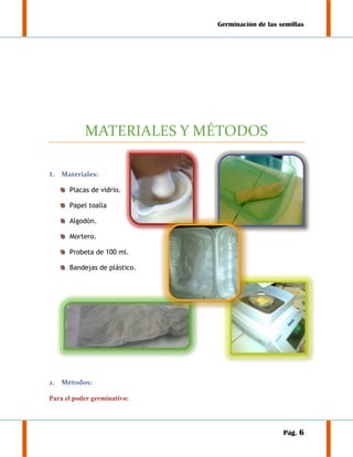 Germinación de las semillas

MATERIALES Y MÉTODOS
1.

Materiales:
Placas de vidrio.
Papel toalla
Algodón.
Mortero.
Probeta de 100 ml.
Bandejas de plástico.

2.

Métodos:

Para el poder germinativo:

Pág. 6

 