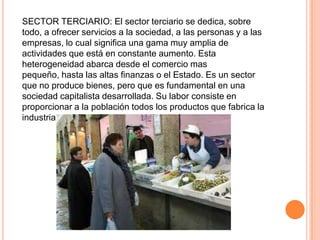 SECTOR TERCIARIO: El sector terciario se dedica, sobre
todo, a ofrecer servicios a la sociedad, a las personas y a las
empresas, lo cual significa una gama muy amplia de
actividades que está en constante aumento. Esta
heterogeneidad abarca desde el comercio mas
pequeño, hasta las altas finanzas o el Estado. Es un sector
que no produce bienes, pero que es fundamental en una
sociedad capitalista desarrollada. Su labor consiste en
proporcionar a la población todos los productos que fabrica la
industria,

 