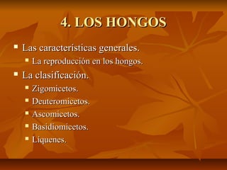 4. LOS HONGOS


Las características generales.




La reproducción en los hongos.

La clasificación.






Zigomicetos.
Deuteromicetos.
Ascomicetos.
Basidiomicetos.
Líquenes.

 