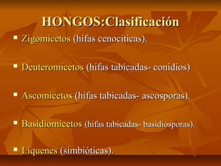 HONGOS:Clasificación


Zigomicetos (hifas cenocíticas).



Deuteromicetos (hifas tabicadas- conidios)



Ascomicetos (hifas tabicadas- ascosporas).



Basidiomicetos (hifas tabicadas- basidiosporas).



Líquenes (simbióticas).

 