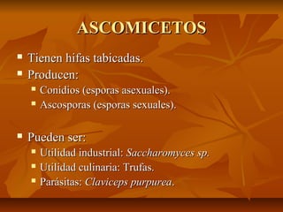 ASCOMICETOS



Tienen hifas tabicadas.
Producen:





Conidios (esporas asexuales).
Ascosporas (esporas sexuales).

Pueden ser:




Utilidad industrial: Saccharomyces sp.
Utilidad culinaria: Trufas.
Parásitas: Claviceps purpurea.

 