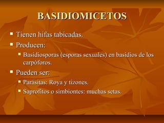 BASIDIOMICETOS



Tienen hifas tabicadas.
Producen:




Basidiosporas (esporas sexuales) en basidios de los
carpóforos.

Pueden ser:



Parásitas: Roya y tizones.
Saprofitos o simbiontes: muchas setas.

 