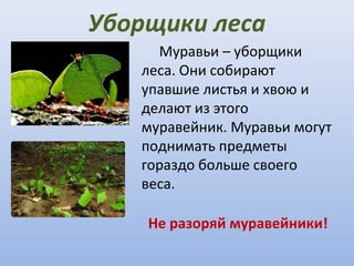Презентация на тему: \
