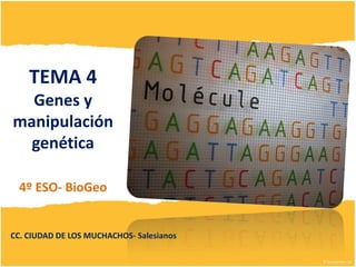 TEMA 4
Genes y
manipulación
genética
4º ESO- BioGeo

CC. CIUDAD DE LOS MUCHACHOS- Salesianos

 