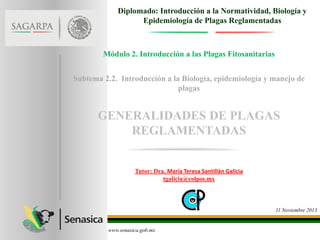 Diplomado: Introducción a la Normatividad, Biología y
Epidemiología de Plagas Reglamentadas

Módulo 2. Introducción a las Plagas Fitosanitarias
Subtema 2.2. Introducción a la Biología, epidemiología y manejo de
plagas

GENERALIDADES DE PLAGAS
REGLAMENTADAS

Tutor: Dra. María Teresa Santillán Galicia
tgalicia@colpos.mx

11 Noviembre 2013

www.senasica.gob.mx

 