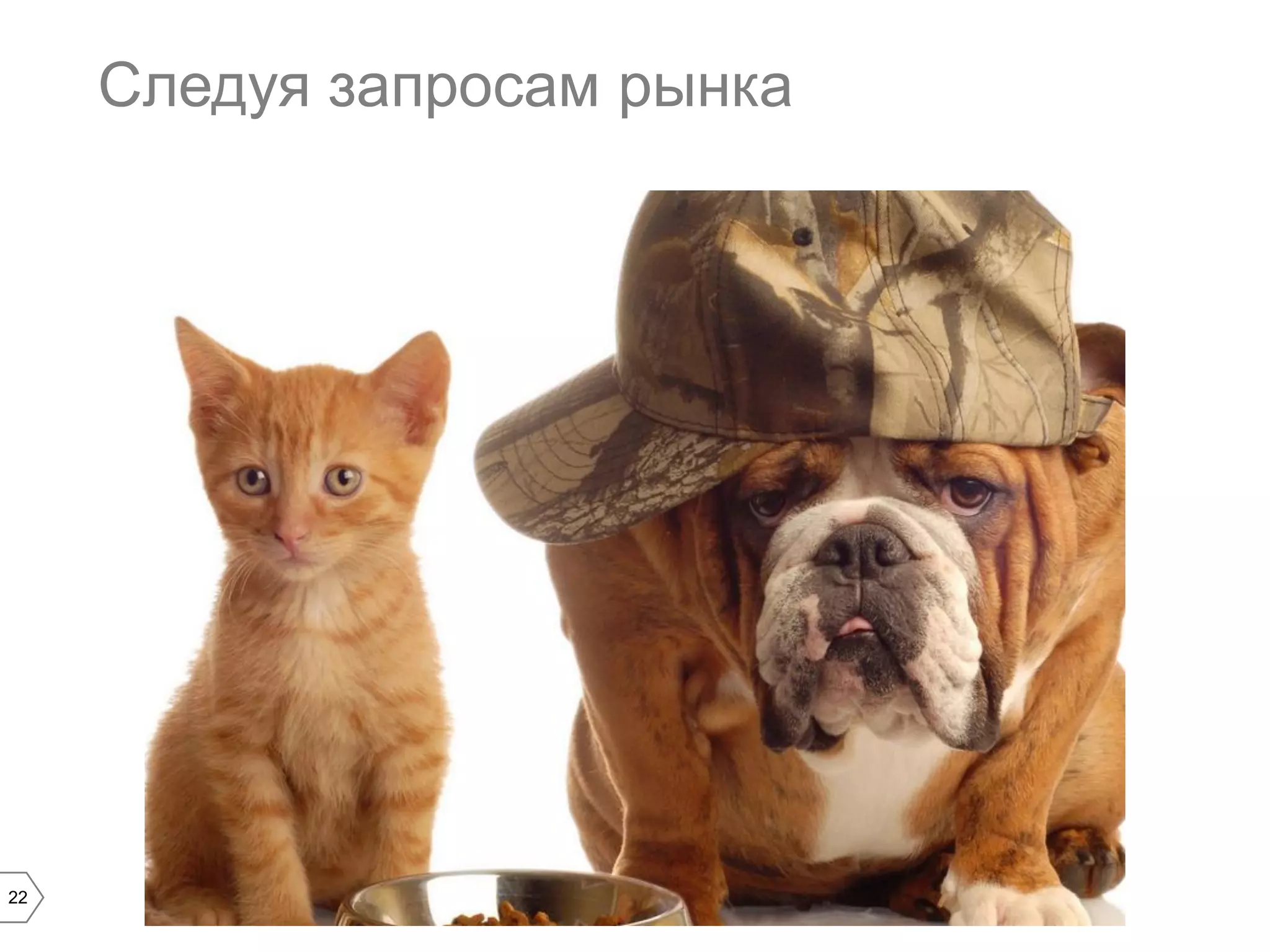 Следуя запросам рынка

22

 