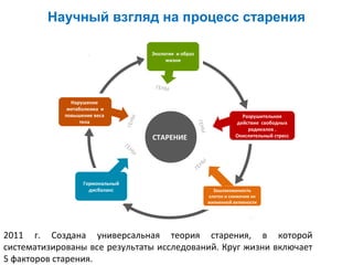 Научный взгляд на процесс старения
Экология и образ
жизни

СТАРЕНИЕ

Разрушительное
действие свободных
радикалов .
Окислительный стресс

ГЕ
НЫ

ГЕ
НЫ

ГЕНЫ

Нарушение
метаболизма и
повышение веса
тела

ГЕНЫ

ГЕНЫ

Гормональный
дисбаланс

Зашлакованность
клеток и снижение их
жизненной активности

2011 г. Создана универсальная теория старения, в которой
систематизированы все результаты исследований. Круг жизни включает
5 факторов старения.

 