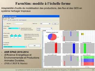 FarmSim: modèle à l’échelle ferme
Adaptabilité d'outils de modélisation des productions, des flux et des GES en
système herbager tropicaux

- ANR EPAD 2010-2014
- (Efficience Energétique et
Environnementale et Productions
Animales Durables,
- (INRA UREP R Martin)
Le carbone en forêt et en prairies issues de déforestation en Guyane, 1° octobre 2013

13

13

 