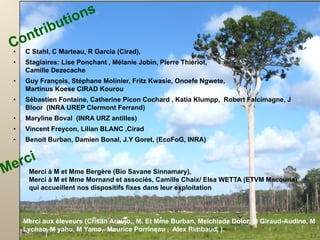 •

C Stahl, C Marteau, R Garcia (Cirad),

•

Stagiaires: Lise Ponchant , Mélanie Jobin, Pierre Thiériot,
Camille Dezecache

•

Guy François, Stéphane Molinier, Fritz Kwasie, Onoefe Ngwete,
Martinus Koese CIRAD Kourou

•

Sébastien Fontaine, Catherine Picon Cochard , Katia Klumpp, Robert Falcimagne, J
Bloor (INRA UREP Clermont Ferrand)

•

Maryline Boval (INRA URZ antilles)

•

Vincent Freycon, Lilian BLANC ,Cirad

•

Benoit Burban, Damien Bonal, J.Y Goret, (EcoFoG, INRA)

Merci à M et Mme Bergère (Bio Savane Sinnamary),
Merci à M et Mme Mornand et associés, Camille Chaix/ Elsa WETTA (ETVM Macouria)
qui accueillent nos dispositifs fixes dans leur exploitation

Merci aux éleveurs (Crisan Araujo,, M. Et Mme Burban, Melchiade Dolor, M Giraud-Audine, M
17
Lychao, M yahu, M Yamo, Maurice Porrineau , Alex Rimbaud, ).

17

 