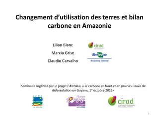 Changement d’utilisation des terres et bilan
carbone en Amazonie
Lilian Blanc
Marcia Grise
Claudio Carvalho

Séminaire organisé par le projet CARPAGG « le carbone en forêt et en prairies issues de
déforestation en Guyane, 1° octobre 2013»

1

 