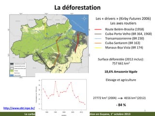Changement D Utilisation Des Terres Et Bilan Carbone En Amazonie