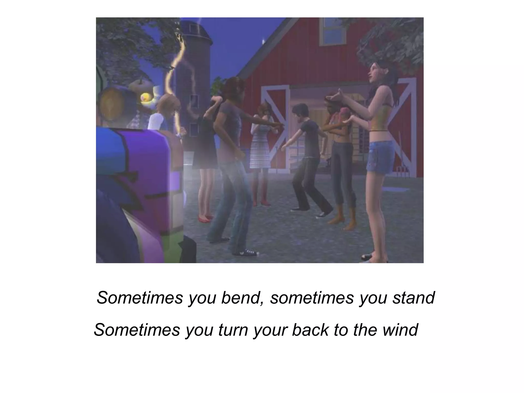 	Sometimes you bend, sometimes you standSometimes you turn your back to the wind