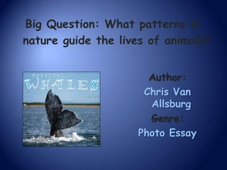 Big Question: What patterns in
nature guide the lives of animals?
Author:
Chris Van
Allsburg
Genre:
Photo Essay

 