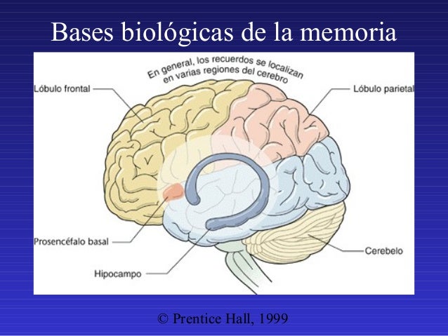 4. memoria