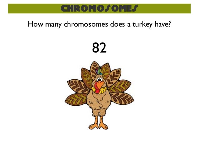 how many chromosomes does a sexual reproduction meiosis how many chromosomes does a sexual reproduction meiosis