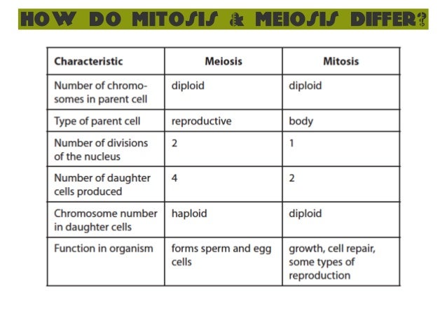 the types of cells division and reproduction mitosis and meiosis the types of cells division and reproduction mitosis and meiosis