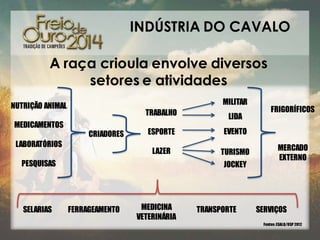 INDÚSTRIA DO CAVALO
A raça crioula envolve diversos
setores e atividades
MILITAR

NUTRIÇÃO ANIMAL

TRABALHO
CRIADORES

LABORATÓRIOS

ESPORTE

EVENTO

LAZER

MEDICAMENTOS

LIDA

TURISMO

PESQUISAS

SELARIAS

JOCKEY

FERRAGEAMENTO

FRIGORÍFICOS

MEDICINA
VETERINÁRIA

TRANSPORTE

MERCADO
EXTERNO

SERVIÇOS
Fontes: ESALQ/USP 2012

 