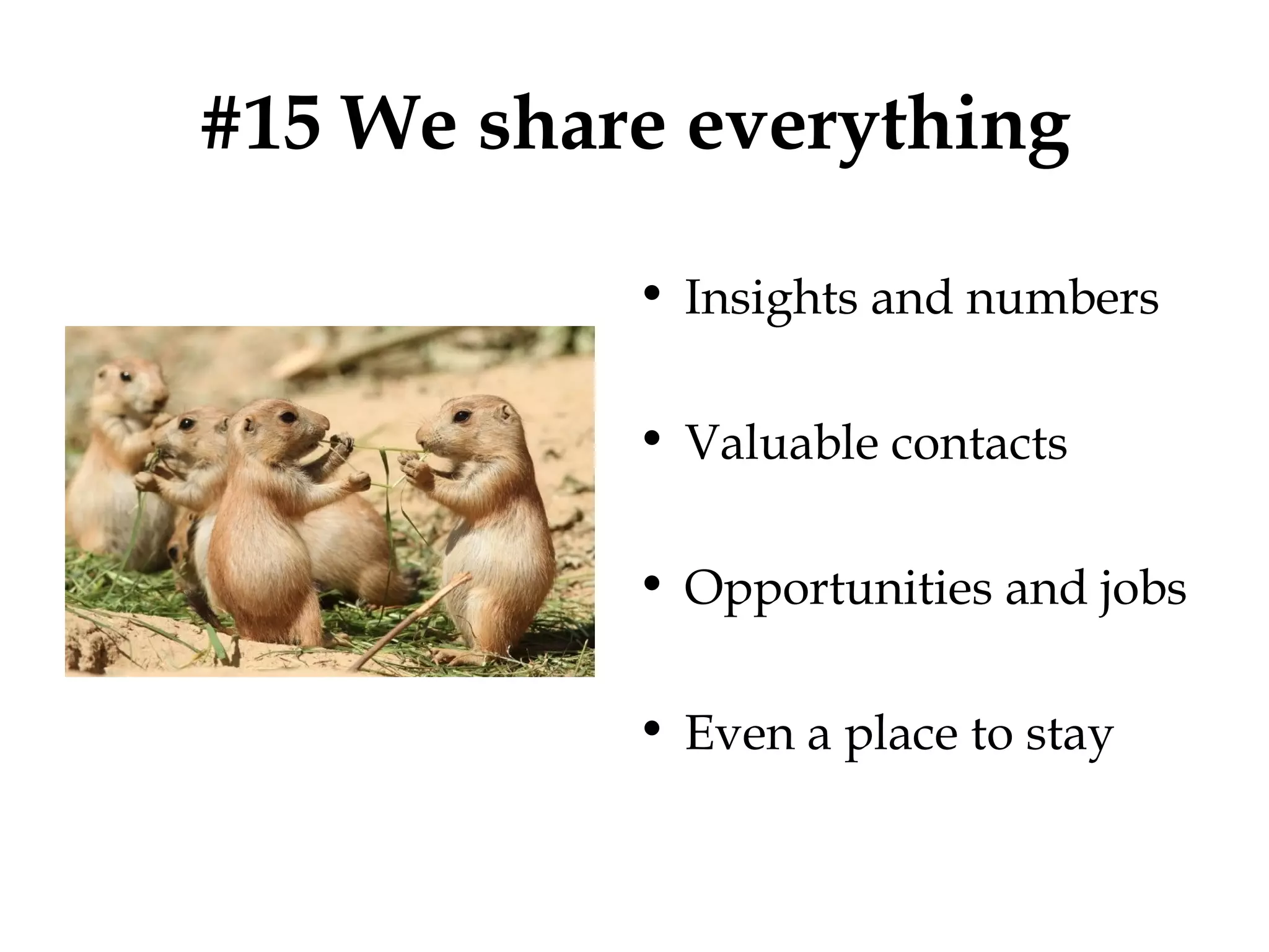 #15 We share everything
• Insights and numbers
• Valuable contacts
• Opportunities and jobs
• Even a place to stay

 