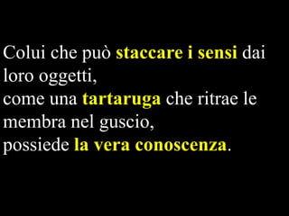 Colui che può staccare i sensi dai
loro oggetti,
come una tartaruga che ritrae le
membra nel guscio,
possiede la vera conoscenza.

 