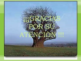 ¡¡¡GRACIAS
POR SU
ATENCIÒN !!!

 