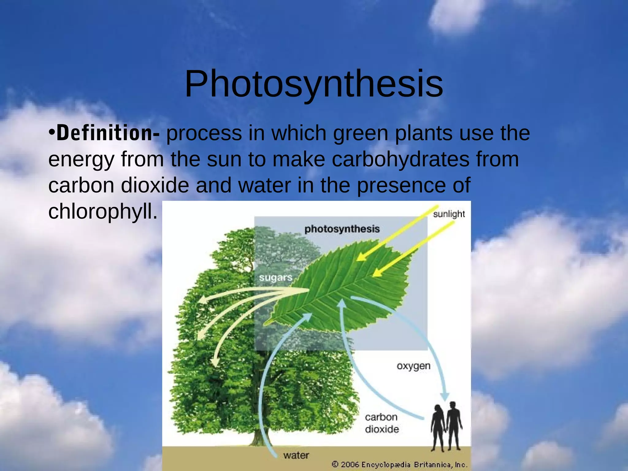 Photosynthesis
•Definition- process in which green plants use the
energy from the sun to make carbohydrates from
carbon dioxide and water in the presence of
chlorophyll.

 