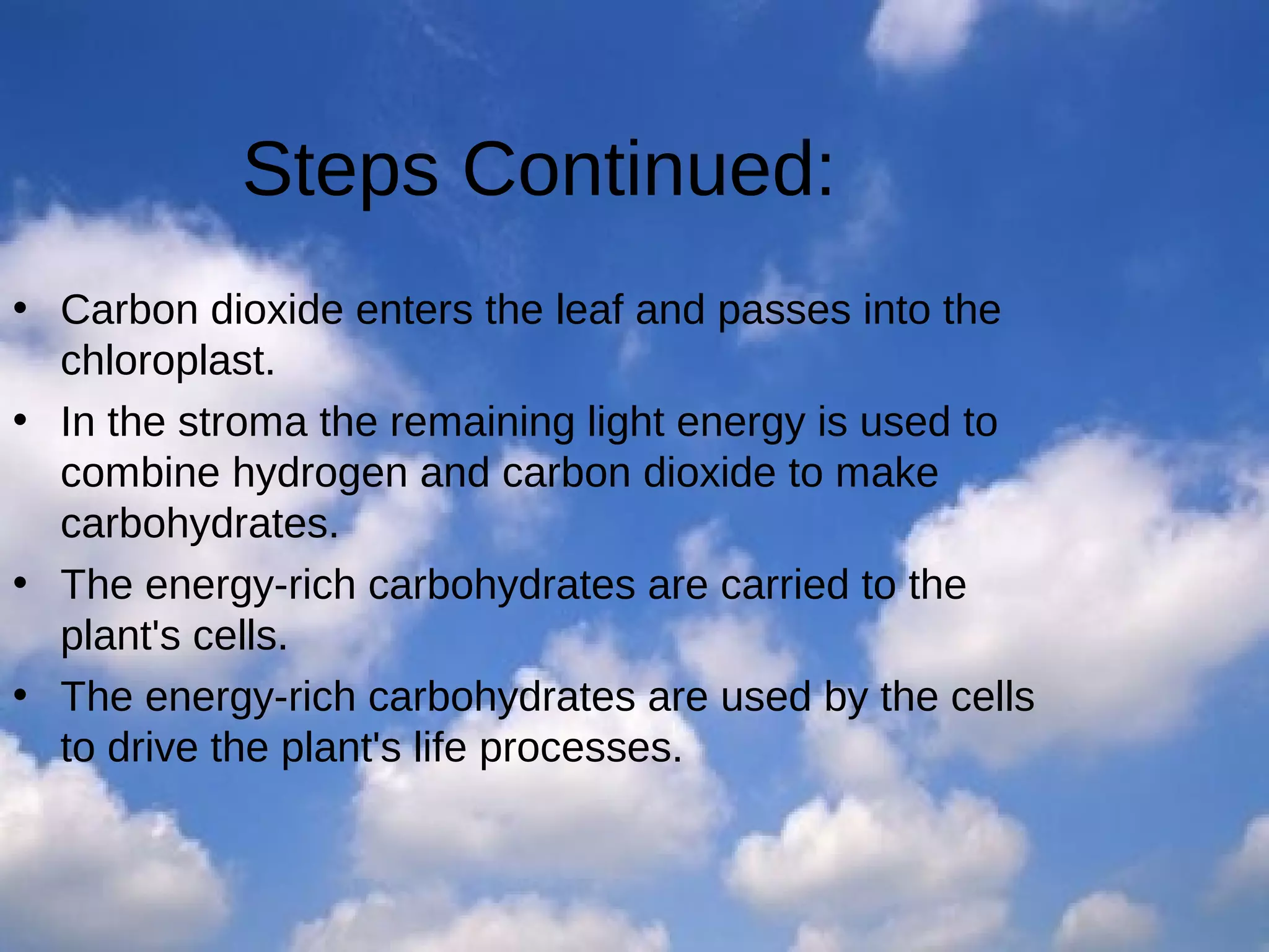 Steps Continued:
• Carbon dioxide enters the leaf and passes into the
chloroplast.
• In the stroma the remaining light energy is used to
combine hydrogen and carbon dioxide to make
carbohydrates.
• The energy­rich carbohydrates are carried to the
plant's cells.
• The energy­rich carbohydrates are used by the cells
to drive the plant's life processes.

 