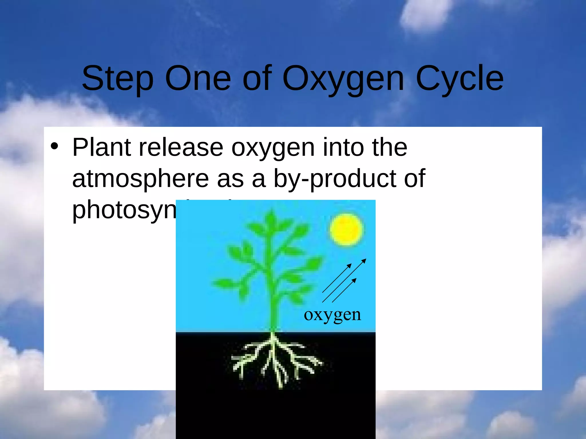 Step One of Oxygen Cycle
• Plant release oxygen into the
atmosphere as a by-product of
photosynthesis.

oxygen

 