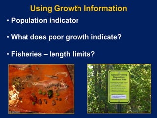 4. determining age, growth and sex of fish and wildlife