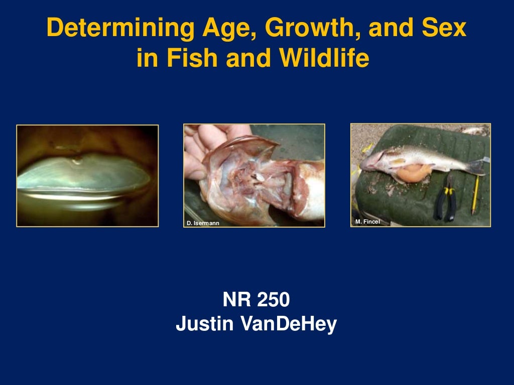 4. determining age, growth and sex of fish and wildlife