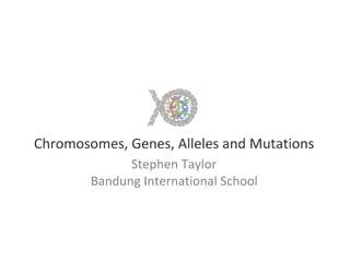 4.1 chromo, genes, alleles & muts ppt i bio