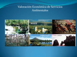 Valoración Económica de Servicios
Ambientales
 