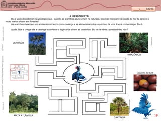 ____/____/ 2013
A DESCOBERTA!
Blu e Jade descobriram no Zoológico que, quando as ararinhas azuis viviam na natureza, elas não moravam na cidade do Rio de Janeiro e
muito menos viviam em florestas!
As ararinhas viviam em um ambiente conhecido como caatinga e se alimentavam dos coquinhos de uma árvore conhecida por Buriti.
Ajude Jade a chegar até a caatinga e conhecer o lugar onde viviam as ararinhas! Blu foi na frente, apressadinho, não?
Adaptadodesmartkids.com.br
http://t2.gstatic.com/images
brasilescola.com
Coquinho de Buriti
arboretto.blogspot.com
ecologia.info
brasilescola.com
SANDRONI,Luciana.GeografiasCariocas.UmpasseiomusicalpeloRio.RJ.2011
CERRADO
MATA ATLÂNTICA
CAATINGA
AMAZÔNICO
19
 