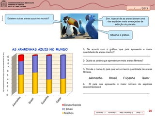 ____/____/ 2013
zuil.com.br
Fonte:http://www.sentosenoticias.com/2011/06/um-pouco-sobre-ararinha-azul.html
AS ARARINHAS AZUIS NO MUNDO
Observe o gráfico.
Existem outras araras azuis no mundo? Sim. Apesar de as araras serem uma
das espécies mais ameaçadas de
extinção do planeta.
1- De acordo com o gráfico, que país apresenta a maior
quantidade de araras macho?
___________________________________________________
2- Quais os países que apresentam mais araras fêmeas?
___________________________________________________
3- Circule o nome do país que tem a menor quantidade de araras
fêmeas.
Alemanha Brasil Espanha Qatar
4- O país que apresenta o maior número de espécies
desconhecidas é
__________________________________________________.
1–Brasil2–EspanhaeQatar3-Alemanha4-Alemanha
10
7
6
5
4
3
2
1
0
8
9
20
 