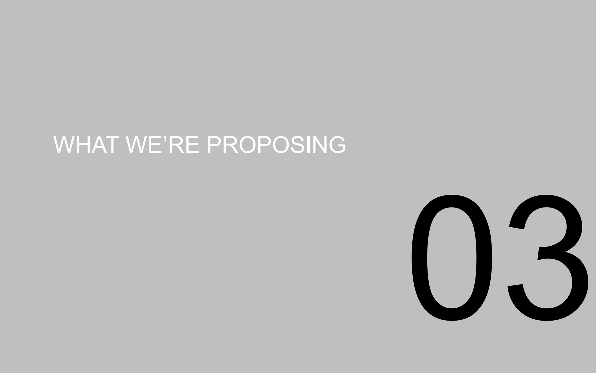WHATWE’RE PROPOSING
03
 