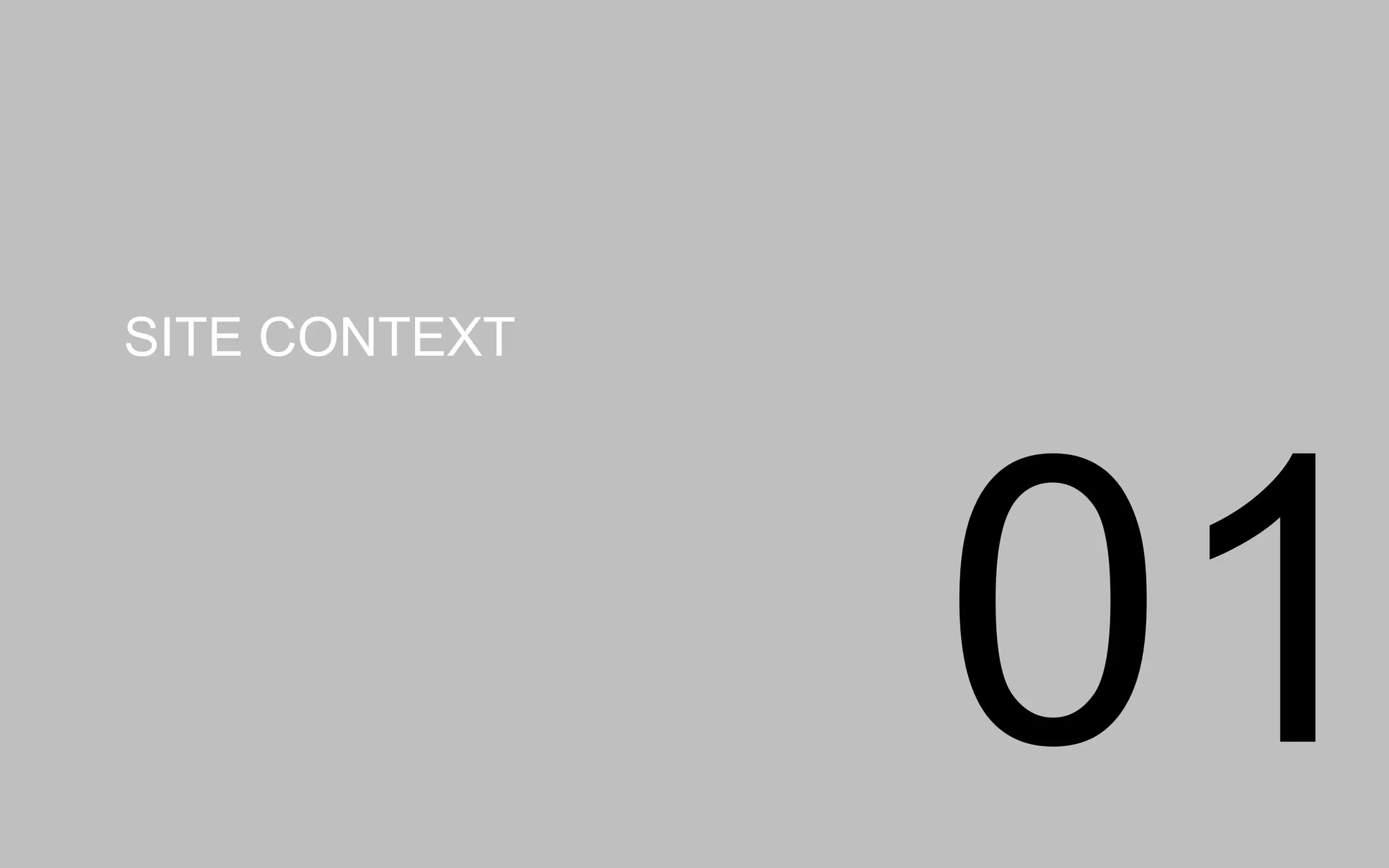 SITE CONTEXT
01
 