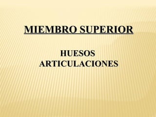MIEMBRO SUPERIORMIEMBRO SUPERIOR
HUESOSHUESOS
ARTICULACIONESARTICULACIONES
 