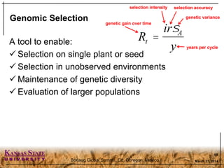 Genomic Selection & Precision Phenotyping | PDF