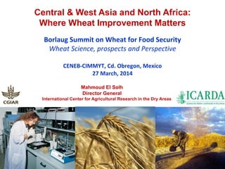 Mahmoud El Solh
Director General
International Center for Agricultural Research in the Dry Areas
Central & West Asia and North Africa:
Where Wheat Improvement Matters
Borlaug Summit on Wheat for Food Security
Wheat Science, prospects and Perspective
CENEB-CIMMYT, Cd. Obregon, Mexico
27 March, 2014
 