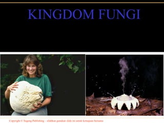 Copyright © Sugeng Publishing – silahkan gunakan slide ini untuk kemajuan bersama
KINGDOM FUNGI
 