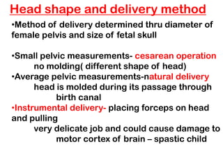 Head shape and delivery method
•Method of delivery determined thru diameter of
female pelvis and size of fetal skull
•Small pelvic measurements- cesarean operation
no molding( different shape of head)
•Average pelvic measurements-natural delivery
head is molded during its passage through
birth canal
•Instrumental delivery- placing forceps on head
and pulling
very delicate job and could cause damage to
motor cortex of brain – spastic child
 