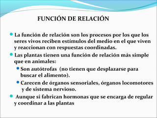 FUNCIÓN DE RELACIÓN
La función de relación son los procesos por los que los
seres vivos reciben estímulos del medio en el...
